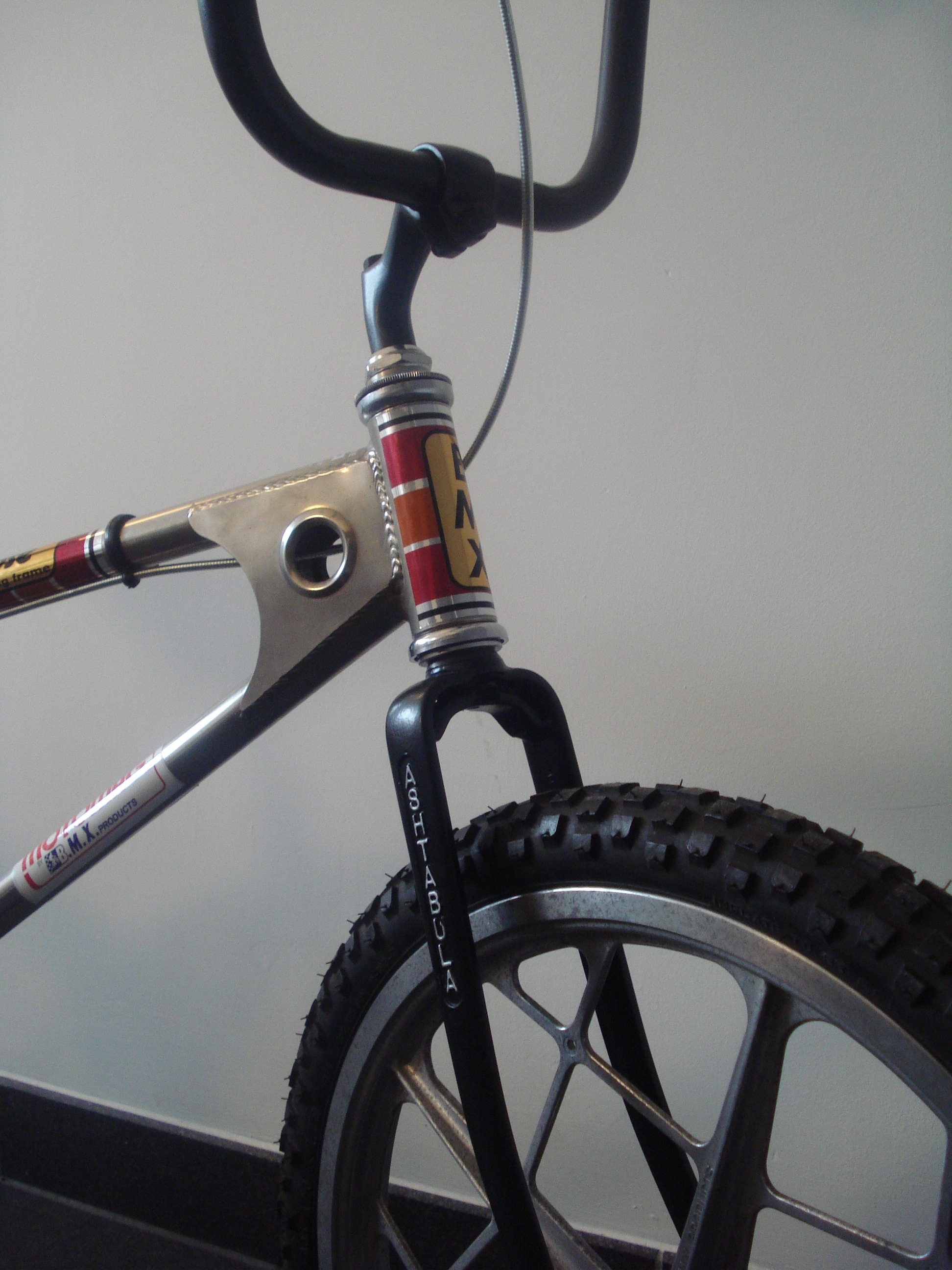 Mongoose