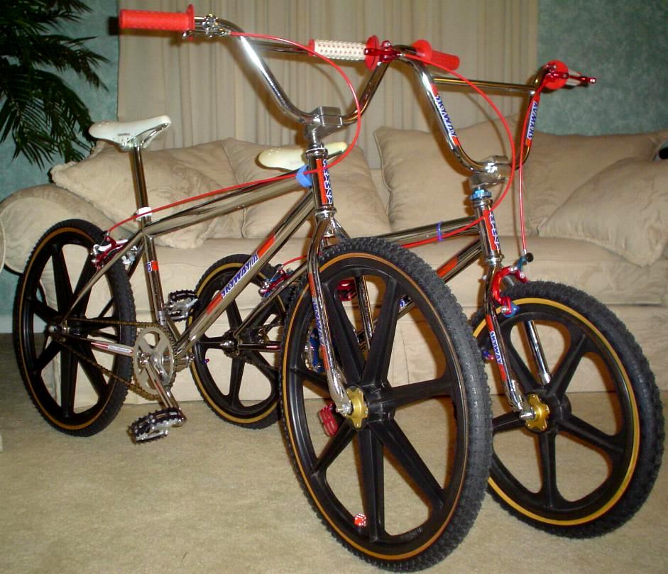 Dumpster deals bmx