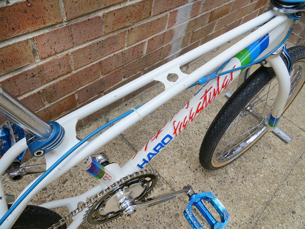 1984 haro master